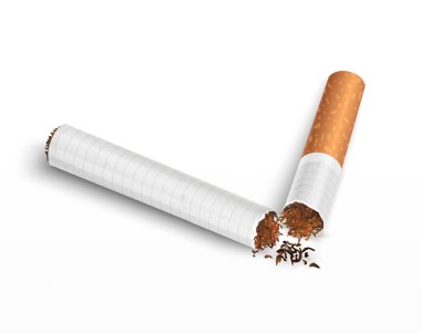 Sigara beyaz arka planda izole edilmiştir. Kırık Tütün Sigaraları 'nın yakın çekimi.