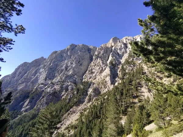 stock image Paisaje de montanas verdes y rocosas