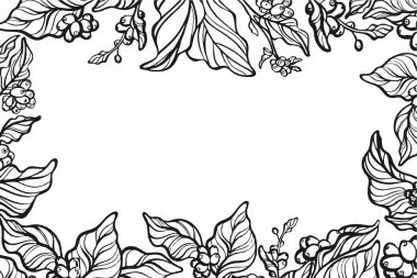 Sadece yan fotoğraftan kahve yaprağı vektörü..