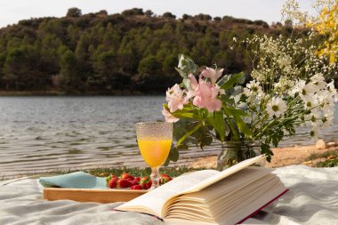Çiçekler, meyve suyu ve kitapla gölün kıyısında piknik süslemesi