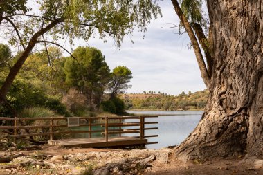 Arka planda ağaç ve göl olan manzara