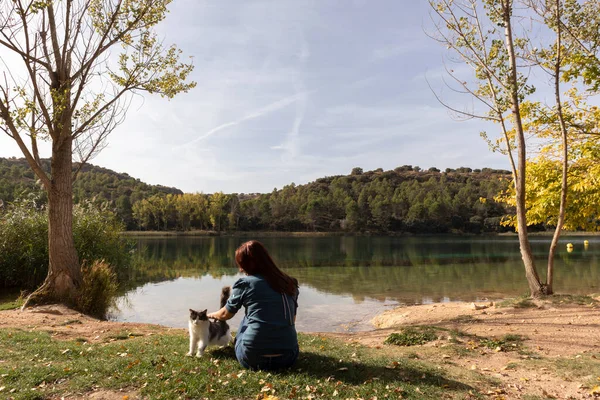 göl kıyısında meyve ve çiçeklerle süslenmiş bir piknik.