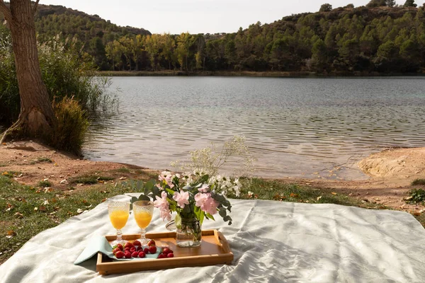 göl kıyısında meyve ve çiçeklerle süslenmiş bir piknik.