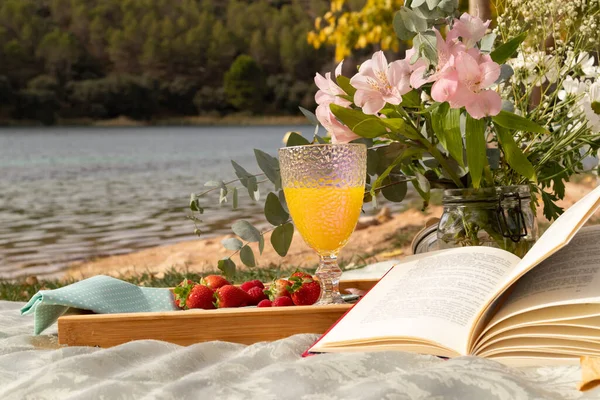 picnic decoration with book, flowers, juice and fruits on the shore of the lake with green nature