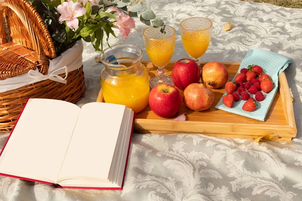 Kitap, çiçek, meyve suyu ve meyveli piknik süslemeleri yeşil doğayla kaplı gölün kıyısında