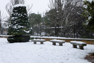 Ağaçlı manzara ve karlı banklar