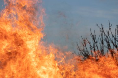 Ateş; görünür dallarla yaklaş;