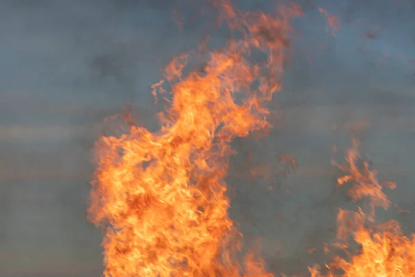 stock image the tip of the big fire flame with sky background