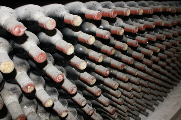 Eski şarap şişeleri ardarda Toz toprak mahzenlerde