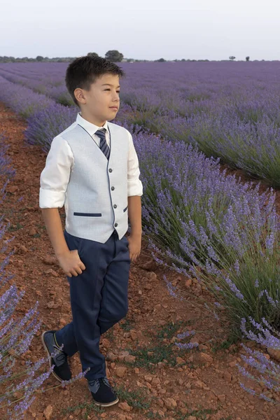 Lavanta tarlalarında komünyon çocuğu