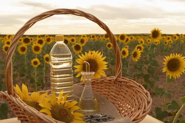 still life with a bottle of sunflower oil in the countryside with organic sunflowers outdoors in a wicker basket