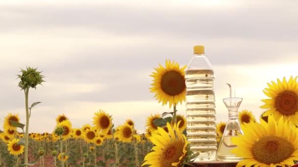 Sonnenblumenöl Feld Der Sonnenblumen — Stockvideo