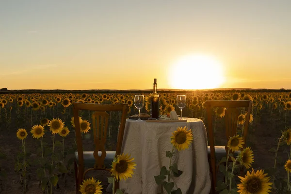 decoration of romantic and relaxed dinner in fields of sunflowers