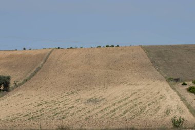 Mezarlıktaki mezarların havadan görünüşü