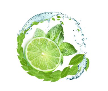 Limon ve limon yakın çekim vektör materyali