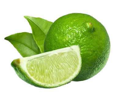 Limon ve limon yakın çekim vektör materyali