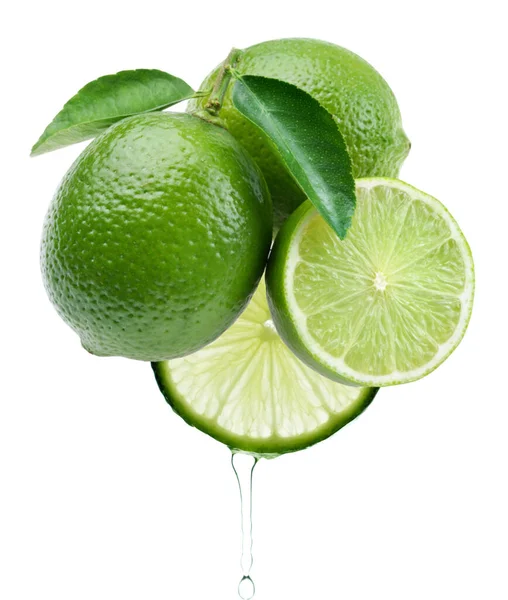 Citrus Lemon Close Vector Material — Stock Vector