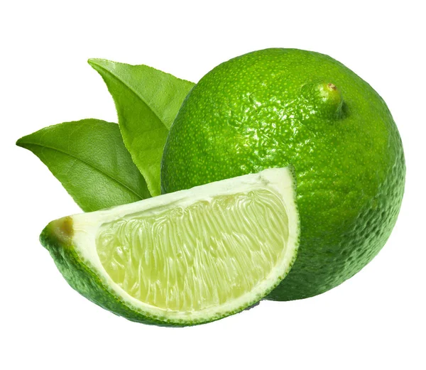 柑橘類とレモンのクローズアップベクトル材料 — ストックベクタ