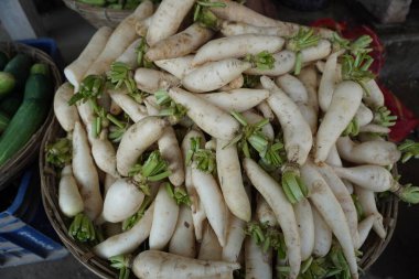 Daikon turpları. Beyaz Daikon, beyaz turp,