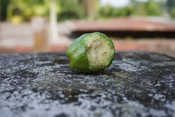 Pouteria makrocarpa, Sapotaceae familyasından bir bitki türü. Brezilya, Kolombiya ve Kosta Rika 'da bulunur. Yer: Mamori Gölü yakınında, Amazon Brezilya