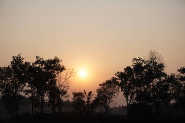 Güneş ön planda ağaçlarla birlikte kamusal alandan batıyor..