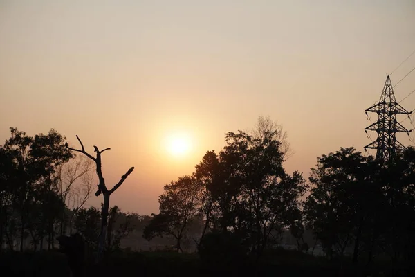 Ormandan günbatımı manzarası