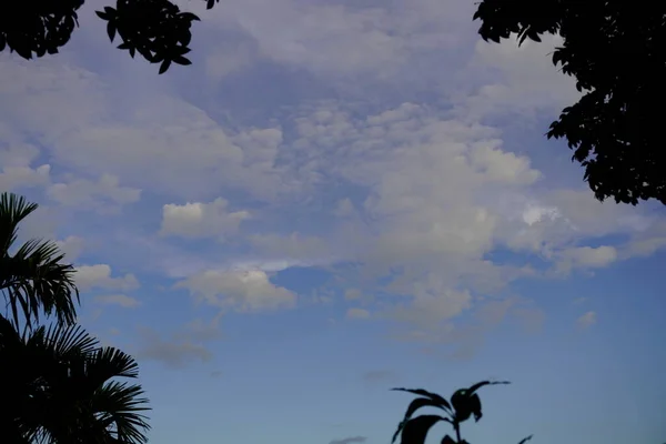 Follaje Verde Los Árboles Contra Cielo Azul Las Nubes Primavera — Foto de Stock