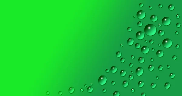 Water drop on green color background. Water Drops
