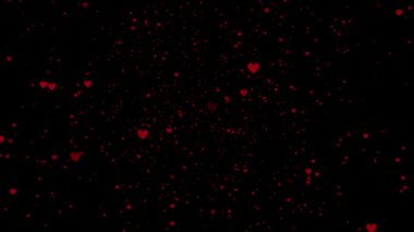 Siyah arka planda düşen kırmızı kalpler. Hareketli video animasyonu. Sevgililer Günü