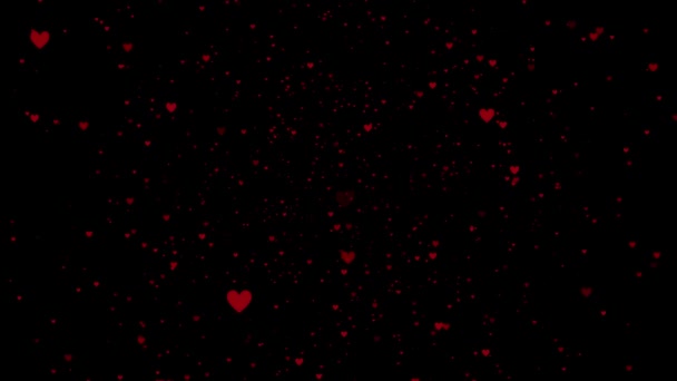 Рух Червоних Серців День Святого Валентина Romantic Заблокувала Анімацію Чорному — стокове відео
