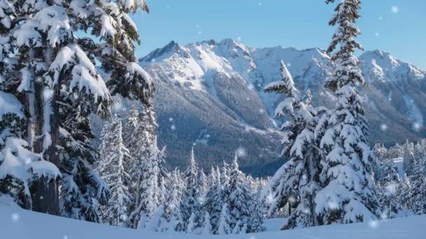 Boslandschap Met Winterdennenbos Hoog Besneeuwde Bergen Bij Zware Sneeuwval Weergegeven — Stockvideo