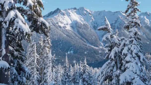 Zware Sneeuwval Het Wilde Park Grote Sneeuwvlokken Die Langzaam Vallen — Stockvideo
