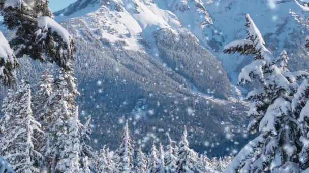 Skogslandskap Med Vinter Gran Skog Högt Snöiga Berg Vid Kraftigt — Stockvideo