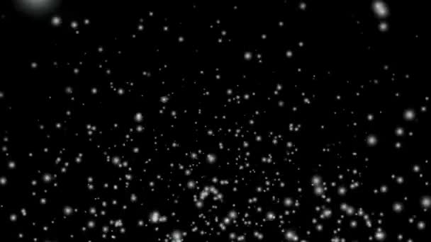 Spadające Płatki Śniegu Odizolowane Czarnym Tle Realistyczna Animacja Spadającego Śniegu — Wideo stockowe