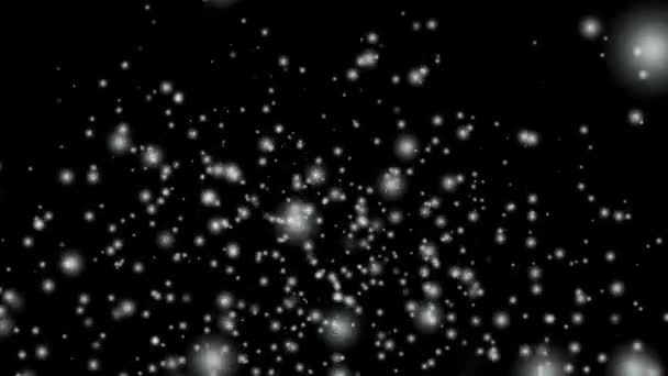 Spadające Płatki Śniegu Odizolowane Czarnym Tle Realistyczna Animacja Spadającego Śniegu — Wideo stockowe