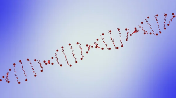 Dna Strand Mänsklig Dna Struktur Bakgrund Roterande Dna Molekyler Kromosomer — Stockfoto