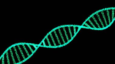 İzole DNA iplikleri, illüstrasyon. Siyah arka planda izole edilmiş DNA sarmalları. Genetik, bilim, genom, tıp, biyoloji kavramları.