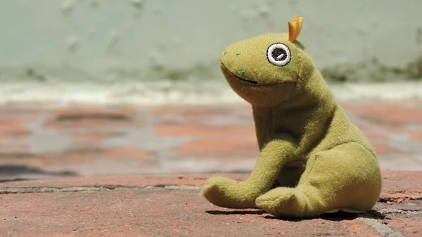 Taçlı yeşil kurbağa tek başına oturuyor.