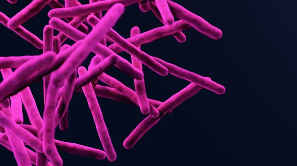 Mycobacterium tuberculosis bacteria, bacterial disease, 3d render