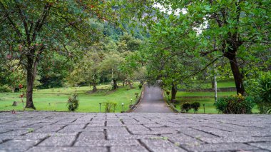 Parktaki patikanın düşük açılı fotoğrafı. Parktaki engebeli patika