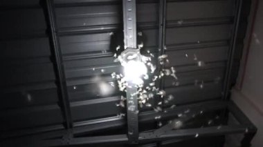 Uçan güveler ampullerin altında toplanıyor. Büyüleyici gece böcekleri sürüsü.