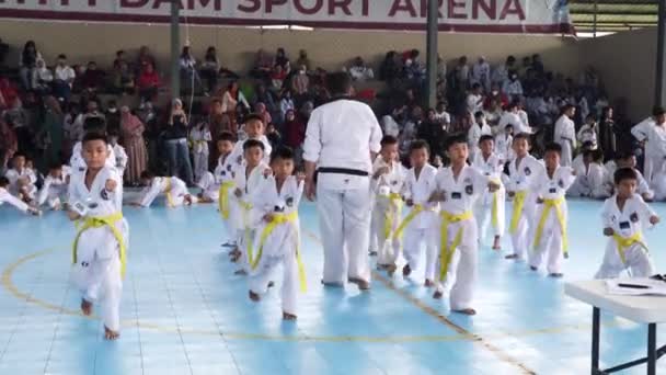 Makassar Desember 2022 Murid Taekwondo Mengikuti Ujian Sabuk Stadion Dalam — Stok Video