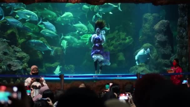 Jakarta Januari 2023 Spectaculaire Waterdans Met Oceaanprinses Enorme Tank Van — Stockvideo
