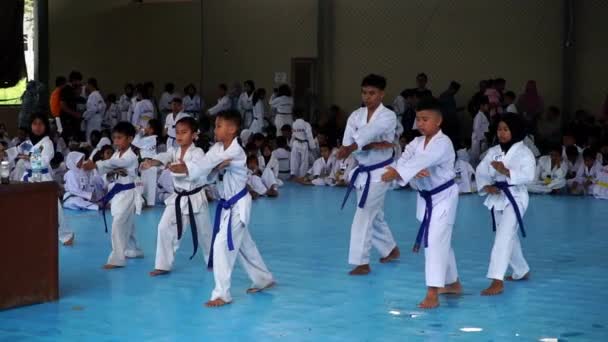 Makassar Diciembre 2022 Experimenta Fuerza Habilidad Los Jóvenes Tae Kwon — Vídeo de stock