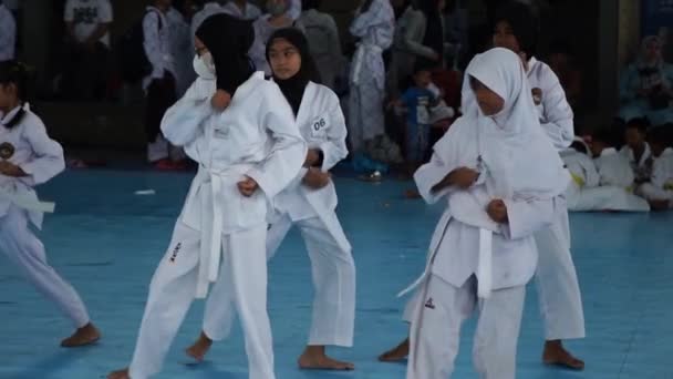 2022年12月25日 Makassar 在室内体育场体验年轻跆拳道选手慢动作的力量和技巧 — 图库视频影像