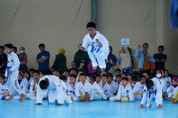 Małe Dziecko Niebieskim Paskiem Zdające Egzamin Tae Kwon Makassar Grudnia — Zdjęcie stockowe