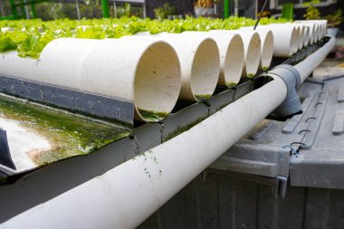 Su, hidroponik borudan rezervuara akar. Hidrofonik tesisat sistemi.