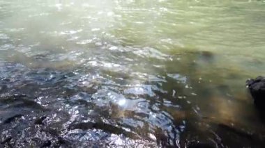 Yoğun bir ormanda, Sukabumi, Endonezya 'da asma köprüde sandaletlerle yavaşça yürüyorum.