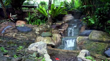 Mini şelaleli ve yemyeşil ağaçlı tropik kaplıca