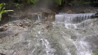 Mini şelaleli ve yemyeşil ağaçlı tropik kaplıca